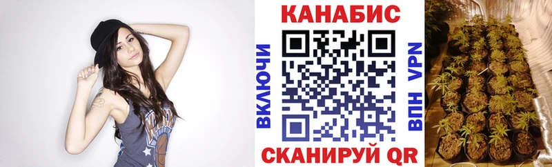 Бошки марихуана конопля  купить наркоту  Минусинск 